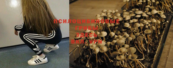 мяу мяу мука Рославль