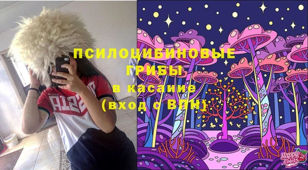 мяу мяу мука Рославль