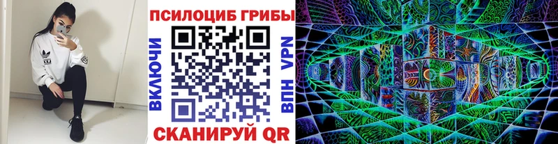 площадка Telegram  Татарск  Псилоцибиновые грибы Cubensis 