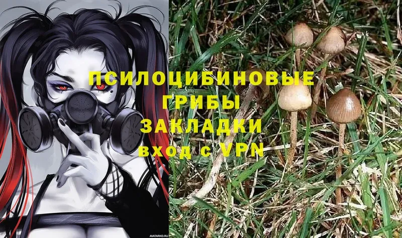 купить  сайты  Татарск  Псилоцибиновые грибы Magic Shrooms 