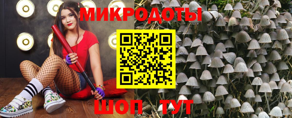 Псилоцибиновые грибы мухоморы Татарск